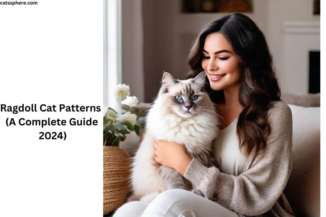 Ragdoll Cat Patterns (A Complete Guide 2024)