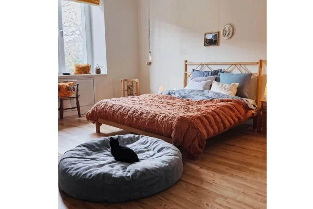 How to Keep Cats Off Your Bed (Detailed Guide 2024)