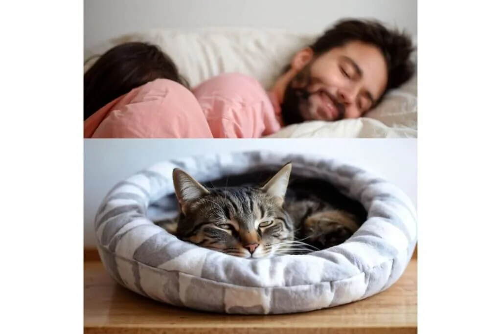 How to Keep Cats Off Your Bed (Detailed Guide 2024)